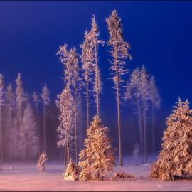 Anatoly Sokolov 摄影作品