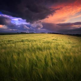 Piotr Poreba 摄影作品