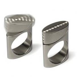 迈克尔伯杰美丽动力学环