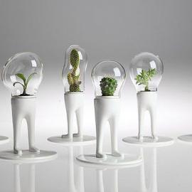 玻璃的艺术作品