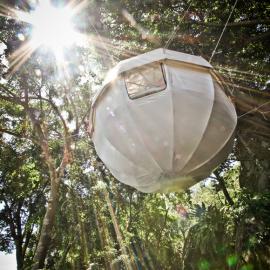 Cocoon Tree 帐篷设计