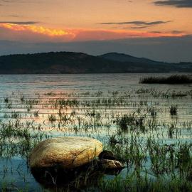 摄影：《风雨后的美丽》