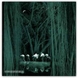 2005中国第11届国际摄影艺术展览作品选登（多图）