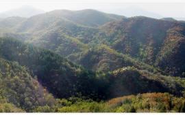 风景摄影--感受秋意