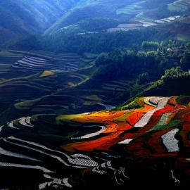 经典摄影作品欣赏