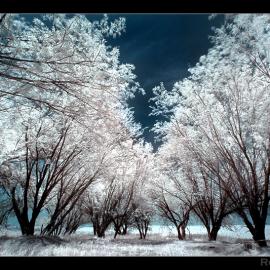 国外摄影师Roie Galitz 优秀作品欣赏