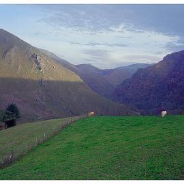 Raphael Lacoste的摄影作品欣赏