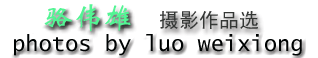 骆伟雄摄影作品欣赏