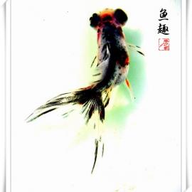 Windy摄影作品-- 鱼趣