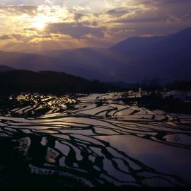 原创摄影 : 云南元阳梯田的片子