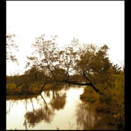 开目闭目--中国美术学院张宋振摄影展