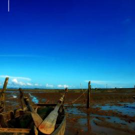 泥滩拾影 ---新会古兜围垦湿地公园