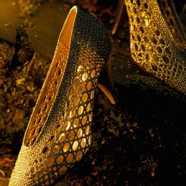 johnfcooper摄影作品欣赏