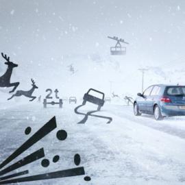 动静两相宜:andy glass汽车摄影作品