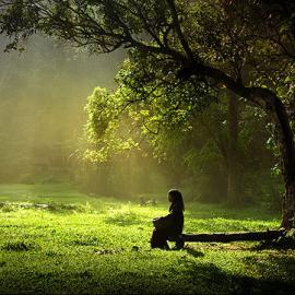 自称半专业Rarindra Prakarsa印尼影像