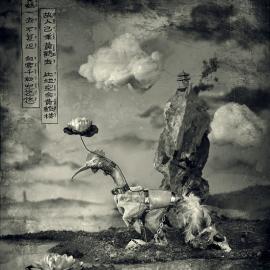 马良《二手唐诗》摄影作品欣赏