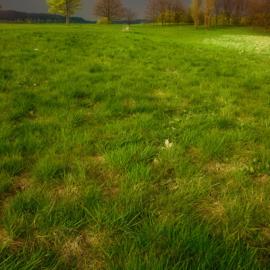 沃尔德马wienchol摄影作品欣赏