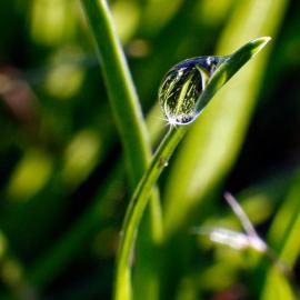 迈克尔tommerup摄影作品欣赏