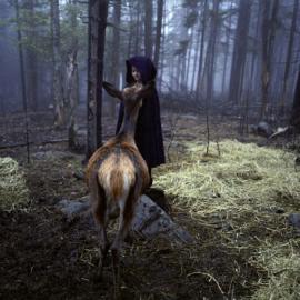 Robin Schwart：Amelia的童话世界