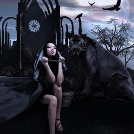 另类美女与野兽