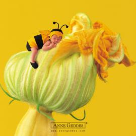 捕捉纯真 Anne的儿童摄影（二）