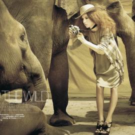 印度尼西亚Julius Bramanto摄影