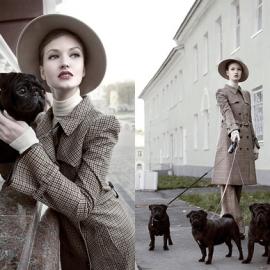 Profile摄影作品欣赏 （二）