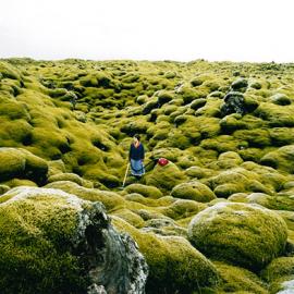 Hege Dons Samset摄影作品：工人