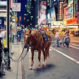 纽约城市风光摄影