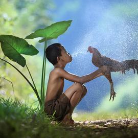 Andre Arment摄影作品