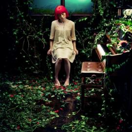 梦幻的国度-日本摄影师Shinji Watanabe作品