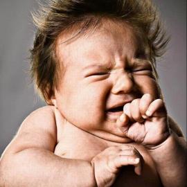 亲亲宝贝—Evan Kafka摄影