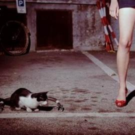 活色生香—andrea olivo女性摄影（三）