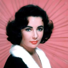 似水流年-追忆泰勒