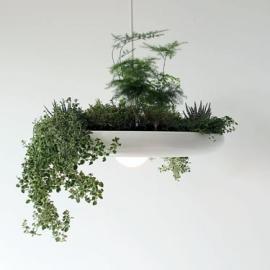 空中花园灯