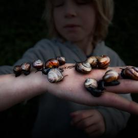 Anna Hurtig 夜夜夜