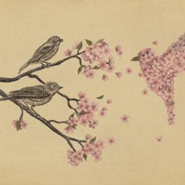 樱花 插画设计