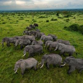 走进非洲国家公园