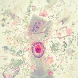 45张Elena创意摄影作品