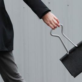 放大的长尾夹包包