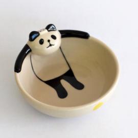 洗澡的熊猫