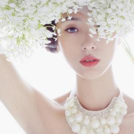 超唯美鲜花与爱丽丝