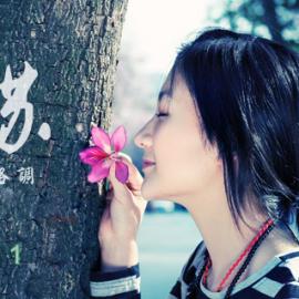 校园樱花下的美女
