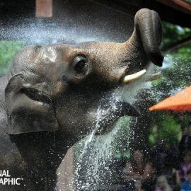 圣地亚哥动物园