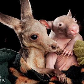 透过镜头看世界