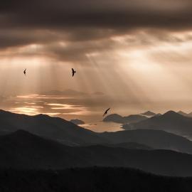 每日图赏&mdash;&mdash;水墨
