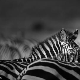 环球地理一周图片