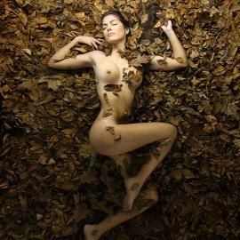 摄影师DDiArte艺术人体摄影:神秘