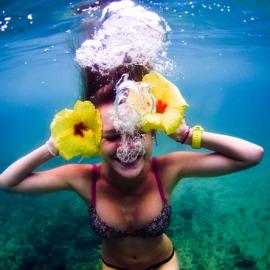 水下精彩的世界