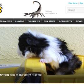 35个对孩子友好的网站设计